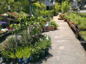 Guildford Garden Centre