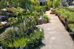 Guildford Garden Centre