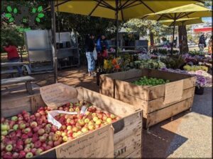 Haig Park Village Markets