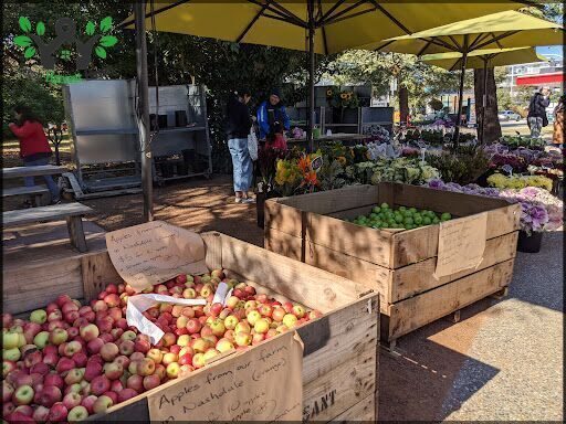 Haig Park Village Markets
