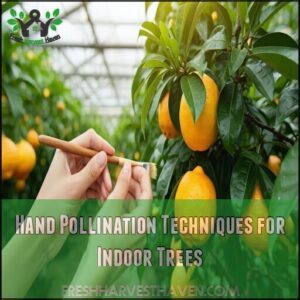 Hand Pollination Techniques for Indoor Trees