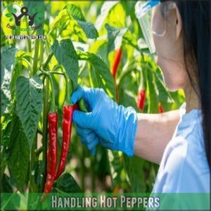Handling Hot Peppers