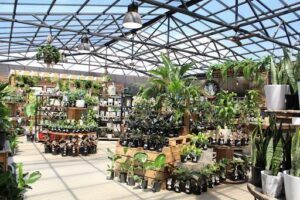 Harmony Garden Centre