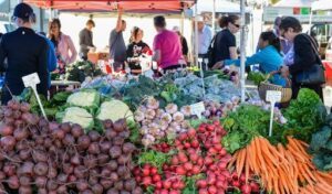 Harvest Market