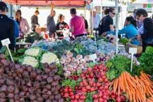 Harvest Market