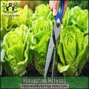 Harvesting Methods