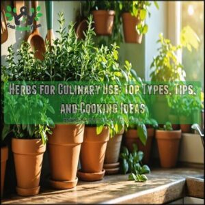 herbs for culinary use