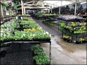 Heyne's Garden Centre