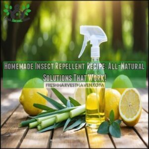 homemade insect repellent recipe