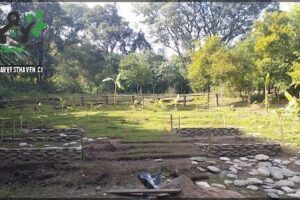 Horco Molle Botanical Garden
