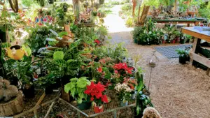 Horticultural Touch Garden Centre