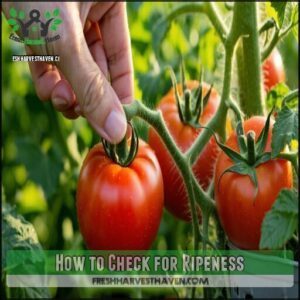 How to Check for Ripeness