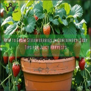 how to grow strawberries in containers
