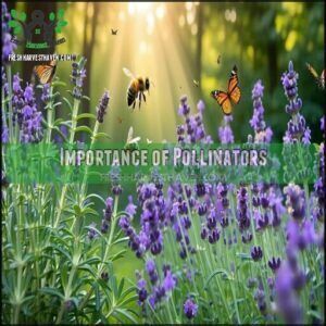 Importance of Pollinators