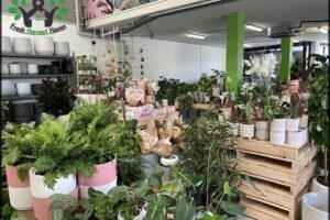 Indoor Plant Shed Caringbah