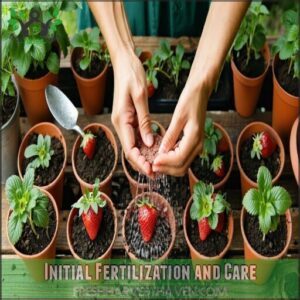 Initial Fertilization and Care