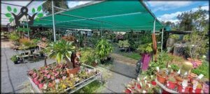 Ipswich Garden Centre