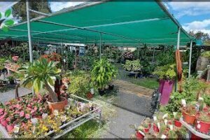 Ipswich Garden Centre