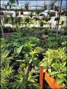 Isa Garden Sas