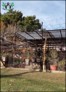 Isla Verde Vivero - Grow Shop