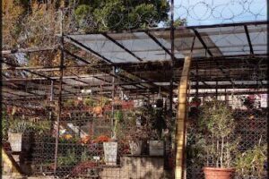 Isla Verde Vivero - Grow Shop