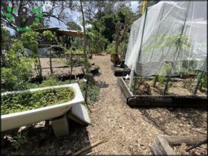 Jane Street Community Garden