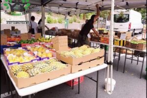 Kelvin Grove Village Markets