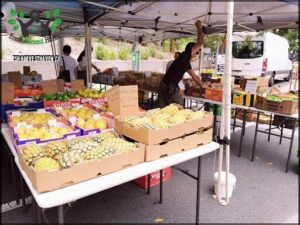 Kelvin Grove Village Markets