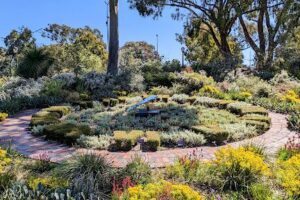 Kings Park and Botanic Garden