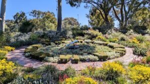 Kings Park and Botanic Garden
