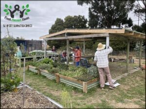 Kingston Community Garden