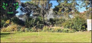 Kingston Organic Community Garden