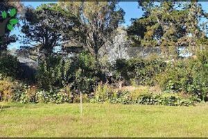 Kingston Organic Community Garden