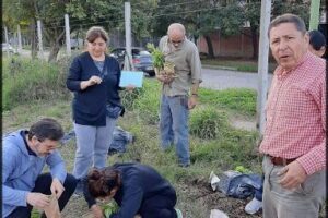 La Soñada, huerta Comunitaria, Orgánica y Solidaria.