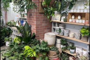 Leaf and Vine, Urban Plant Shop