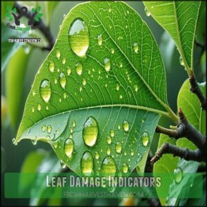 Leaf Damage Indicators
