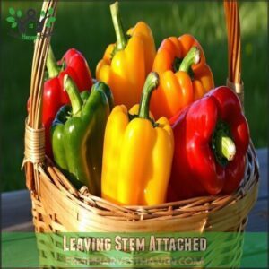 Leaving Stem Attached