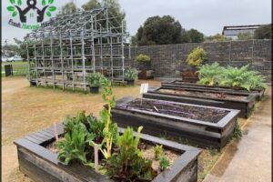 Little Sprouts Kitchen Garden
