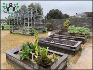 Little Sprouts Kitchen Garden