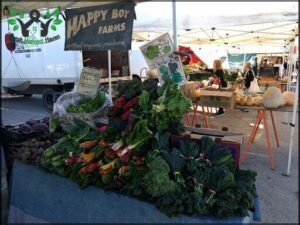 Live Oak Farmer's Market