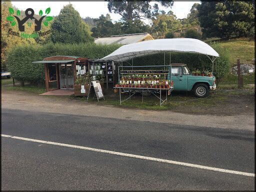 Longley Organic Farm