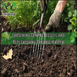Loosening Compacted Soil and Replenishing Organic Matter