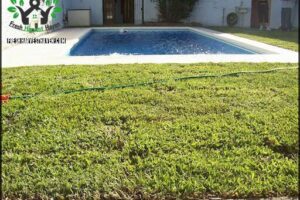 Los Jazmines, jardinería y apicultura