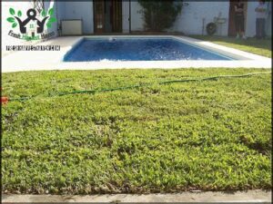 Los Jazmines, jardinería y apicultura