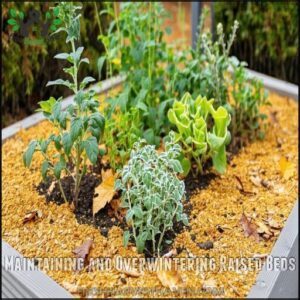 Maintaining and Overwintering Raised Beds