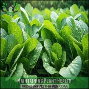 Maintaining Plant Health