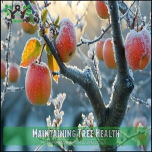 Maintaining Tree Health