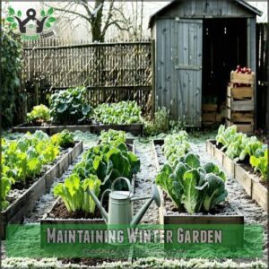 Maintaining Winter Garden