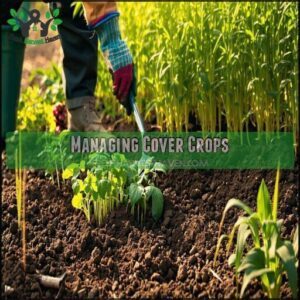 Managing Cover Crops