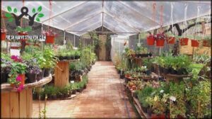 Más Jardín Vivero Multiespacio